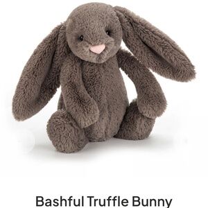 Retired Jellycat Bashful Truffle Bunny